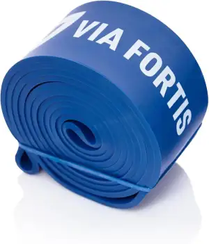 VIA FORTIS Premium Resistance Bands + Übungsanleitung und Tasche - Widerstandsbänder/Klimmzugband und Klimmzughilfe/Trainings-Bänder für Fitness & Krafttraining