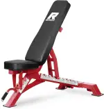 RitFit Multifunktions-Hantelbank Verstellbar, Klappbar, Mit Gewichten - 590kg Tragkraft - Schrägbank, Trainingsbank, Bench, Bankdrücken-Bank für Home Gym, Krafttraining & Muskelaufbau Zuhause