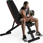 Hantelbank Klappbar Verstellbar, Multifunktions Trainingsbank Schrägbank für Ganzkörper-workout，8 in 1 Fitnessbank für zu Hause oder im Fitnessstudio, 300kg Gewichtskapazität
